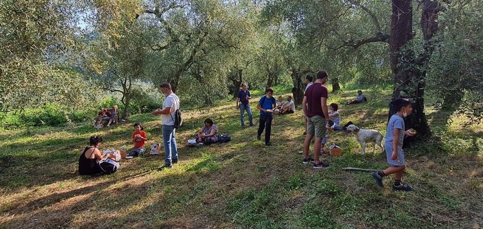 Andora, torna la "merenda nell'oliveto", la passeggiata con degustazione di olio evo
