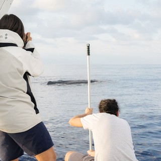 Foto di Mattia Meirana