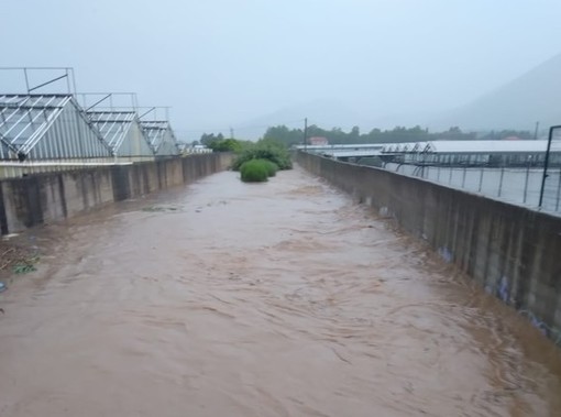 Forti piogge ad Albenga: allagamenti, strade chiuse e interventi in corso