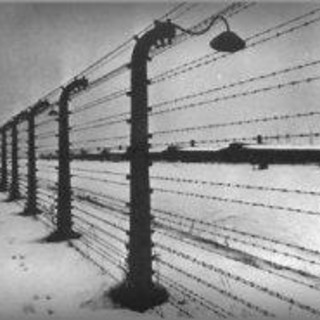 Giornata della Memoria: a Varazze un incontro pubblico dal titolo "Olga Watkins: i ricordi di una donna"