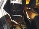 Albenga, auto a fuoco in via degli Orti: la rabbia del proprietario (FOTO)
