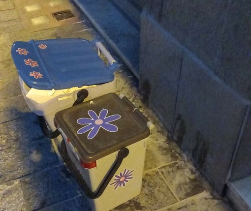Savona, il mastello diventa "floreale": una nuova forma di urbanistica tattica o arte di protesta? Savona, il mastello diventa "floreale": una nuova forma di urbanistica tattica o arte di protesta?