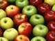 Val Bormida: un nuovo e inedito progetto della Condotta Slow Food Val Bormida: un nuovo e inedito progetto della Condotta Slow Food