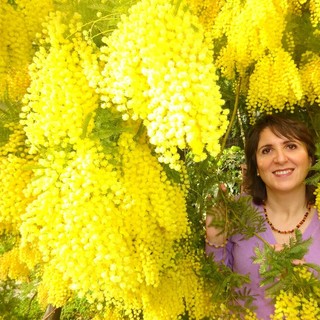 Festa della donna: la domanda è sempre la stessa, perché si regalano le mimose?