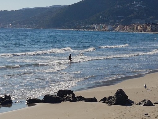 Freddo nell'entroterra e sole sulla costa: ad Alassio c'è chi non rinuncia ad un bagno in mare (FOTO) Freddo nell'entroterra e sole sulla costa: ad Alassio c'è chi non rinuncia ad un bagno in mare (FOTO)