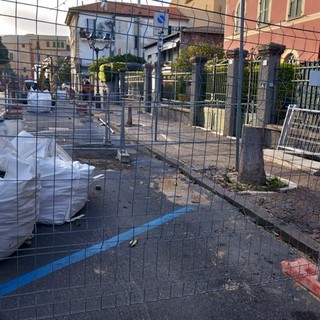 Albenga, taglio delle magnolie in via Trieste, Distilo all'attacco: "Che bisogno c'era?"