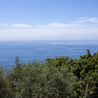 Vacanze estive: nel 2020 per il 93 per cento degli italiani saranno "patriottiche" Vacanze estive: nel 2020 per il 93 per cento degli italiani saranno "patriottiche"