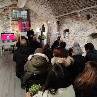 Albissola, un successo la mostra "La Venere del Basilico" tra le opere e l'arte del pesto (FOTO)
