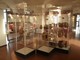 Museo archeologico di Savona a rischio chiusura, arriva la proroga di 19 giorni