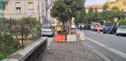 Albenga interviene su marciapiedi e asfalto. Il vice sindaco Passino: "Rispondiamo alle segnalazioni dei cittadini"