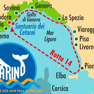 Agenda ONU 2030: la campagna “Stop Food Oils and Fats in the Sea” salpa con il Tour LNI Ventalogo nel Santuario dei Cetacei