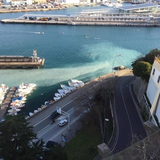 Savona, mare torbido in Darsena, controlli di Capitaneria e Municipale