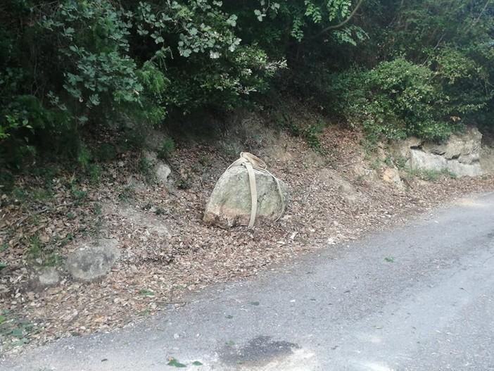 Orco Feglino, grosso masso cade sulla provinciale bis e colpisce una vettura: strada chiusa Orco Feglino, grosso masso cade sulla provinciale bis e colpisce una vettura: strada chiusa