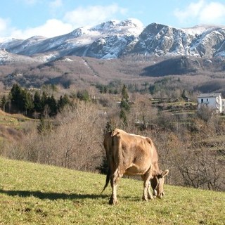 Gita sociale escursionistica al Monte Maggiorasca