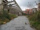 Lettere alla Redazione: Degrado nell’oltre Letimbro a Savona Lettere alla Redazione: Degrado nell’oltre Letimbro a Savona