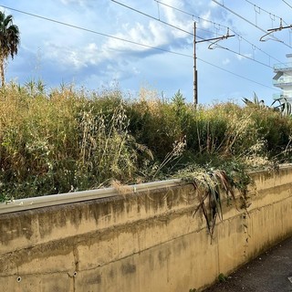 Manutenzione delle scarpate, Borghetto S. Spirito contro RFI: "Gestione vergognosa" (FOTO)