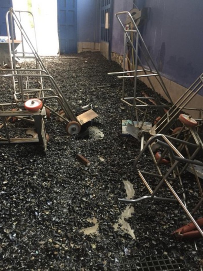 Nella foto: un vivaio per mitilicoltura Nella foto: un vivaio per mitilicoltura