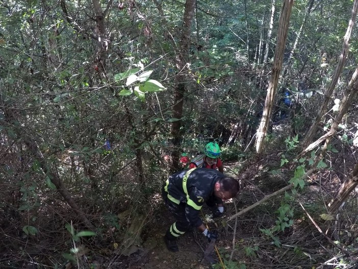 La LAC sull'omicidio venatorio di Apricale: "Responsabilità anche della giunta regionale"