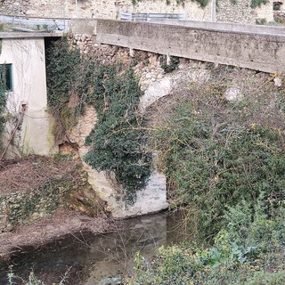 Tovo San Giacomo, troppa vegetazione nel torrente: l'amministrazione risponde ad una segnalazione giunta alla nostra redazione
