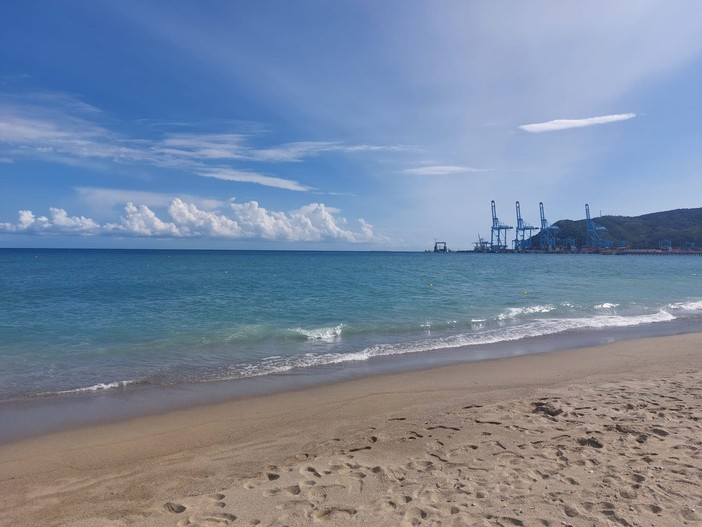 Rigassificatore, le associazioni savonesi: "Sicurezza e sviluppo del territorio non possono essere prevaricate dall'interesse nazionale" Rigassificatore, le associazioni savonesi: "Sicurezza e sviluppo del territorio non possono essere prevaricate dall'interesse nazionale"