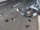 Scontro tra mezzi in A10 all'altezza di Celle: coinvolti un'auto, una moto e un furgone, soccorsi mobilitati e code verso Genova Scontro tra mezzi in A10 all'altezza di Celle: coinvolti un'auto, una moto e un furgone, soccorsi mobilitati e code verso Genova