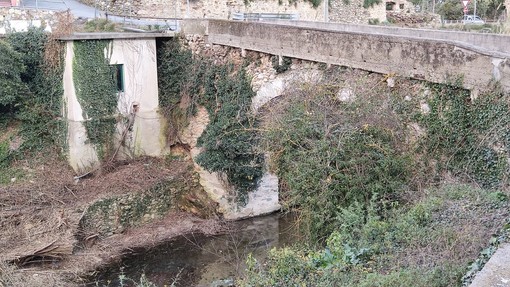 Tovo San Giacomo, troppa vegetazione nel torrente: l'amministrazione risponde ad una segnalazione giunta alla nostra redazione
