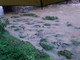 Pietra Ligure, interventi di pulizia alla foce del Maremola Pietra Ligure, interventi di pulizia alla foce del Maremola