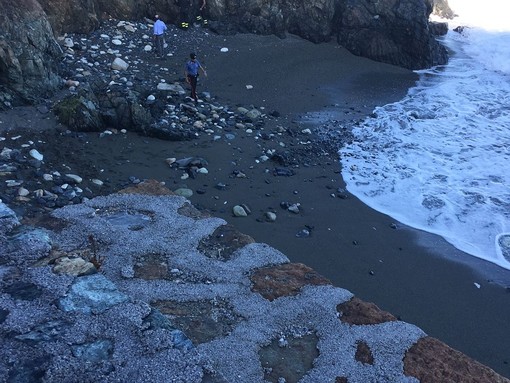 Tragedia tra Varazze e Cogoleto, deceduto l'uomo che risultava disperso in mare (FOTO) Tragedia tra Varazze e Cogoleto, deceduto l'uomo che risultava disperso in mare (FOTO)