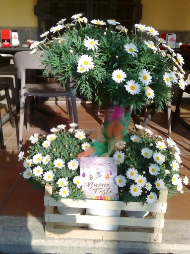 Ceriale si colora di fiori per Pasqua con il CIV Ceriale si colora di fiori per Pasqua con il CIV