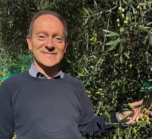 Oleoturismo in Liguria, regolamentata la raccolta turistica delle olive Oleoturismo in Liguria, regolamentata la raccolta turistica delle olive