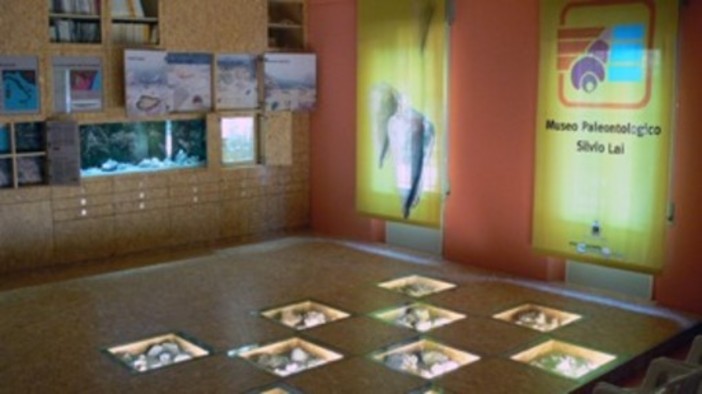 Museo paleontologico di Ceriale: nuovi eventi per il mese di luglio Museo paleontologico di Ceriale: nuovi eventi per il mese di luglio