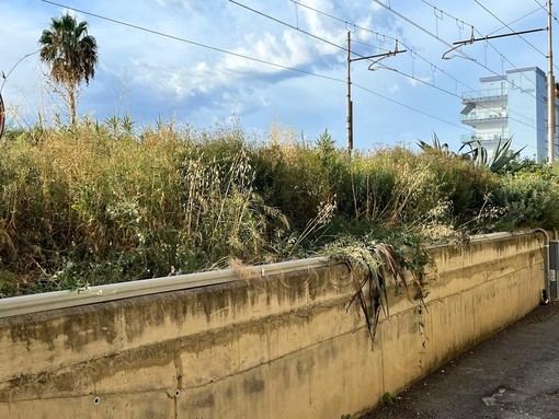 Manutenzione delle scarpate, Borghetto S. Spirito contro RFI: "Gestione vergognosa" (FOTO)
