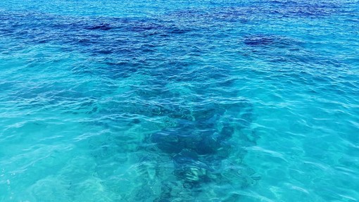 Varazze, revocato il divieto di balneazione nel tratto Levante Teiro: si torna a fare il bagno