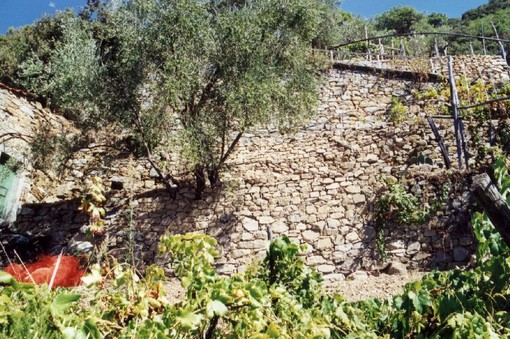 Spiagge Didattiche:  la scuola di muretti a secco di Arnasco ai bagni "Non è Rimini" di Ceriale