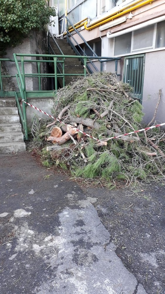 Il Prefetto visita il porto di Finale, la città vuole rialzare la testa