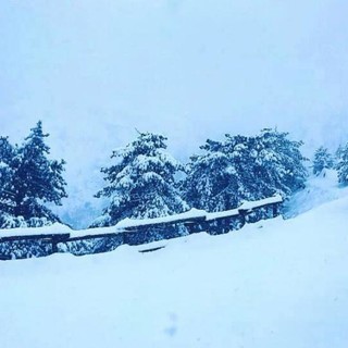 Meteo: forte ondata di maltempo in arrivo sulla Liguria