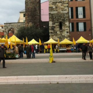 Coldiretti: mimose per 7 donne su 10. Omaggi floreali nei mercati Campagna Amica