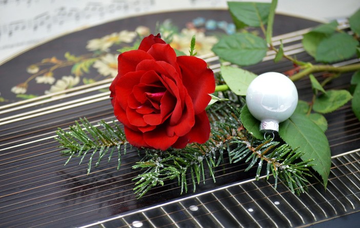 Albissola, feste ricche di musica: ecco il programma dei concerti tra il Natale e l'inizio dell'anno nuovo Albissola, feste ricche di musica: ecco il programma dei concerti tra il Natale e l'inizio dell'anno nuovo