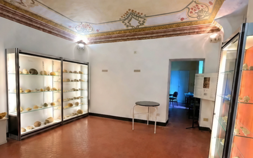 Millesimo, a Villa Scarzella apre la nuova sala museale dedicata a minerali e fossili
