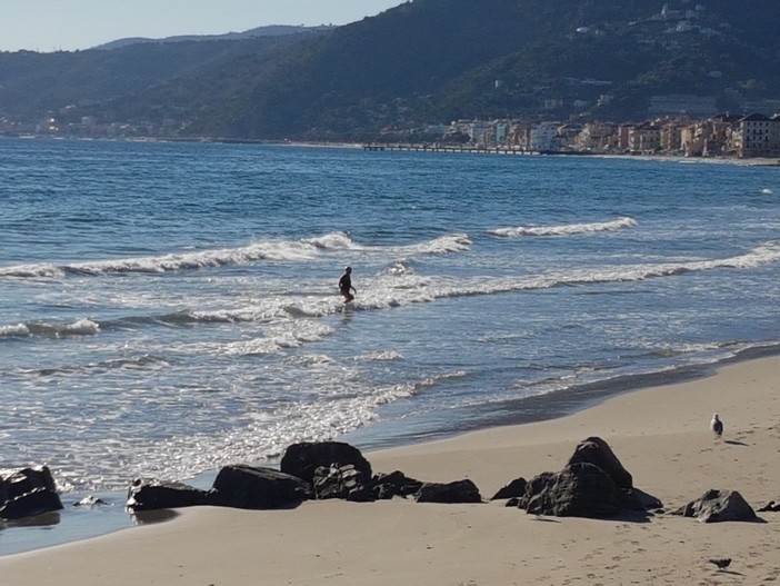 Freddo nell'entroterra e sole sulla costa: ad Alassio c'è chi non rinuncia ad un bagno in mare (FOTO) Freddo nell'entroterra e sole sulla costa: ad Alassio c'è chi non rinuncia ad un bagno in mare (FOTO)