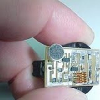 Savona: cimice inservibile, Vaccarezza &amp;quot;sono contento&amp;q