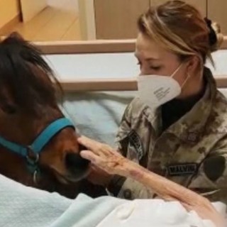 Malvina Abbattista con il suo pony alla Residenza protetta Giacomo Natale di Alassio