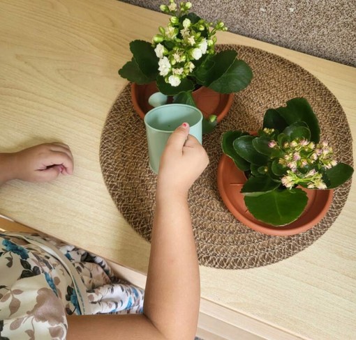 Savona, il metodo Montessori arriva alla scuola dell'Infanzia Sguerso Savona, il metodo Montessori arriva alla scuola dell'Infanzia Sguerso