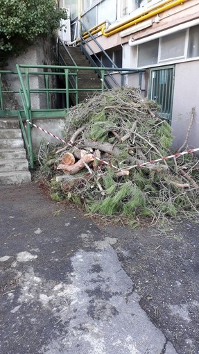 Il Prefetto visita il porto di Finale, la città vuole rialzare la testa