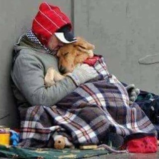 Savona, investito il cane di un senzatetto. OSA e PAI: &quot;Basta indifferenza&quot;