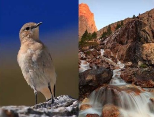 Osiglia: al via una mostra fotografica naturalistica