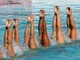 Syncro: campionati invernali, la Rari a Novara per difendere il titolo Syncro: campionati invernali, la Rari a Novara per difendere il titolo