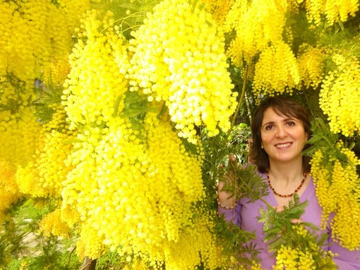 Festa della donna: la domanda è sempre la stessa, perché si regalano le mimose?