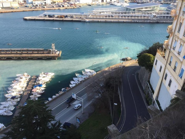 Savona, mare torbido in Darsena, controlli di Capitaneria e Municipale