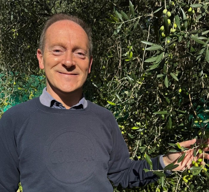 Oleoturismo in Liguria, regolamentata la raccolta turistica delle olive Oleoturismo in Liguria, regolamentata la raccolta turistica delle olive